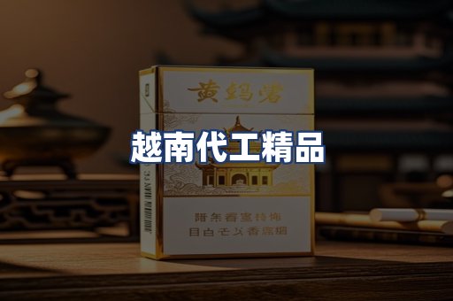 越南代工精品